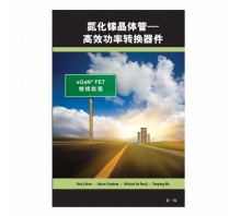 GAN FET BOOK SIMPLIFIED CHINESE VERSION-billede.