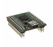 FT4232H MINI MODULE-billede.